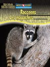 Raccoons Are Night Animals/Los mapaches son animales nocturnos